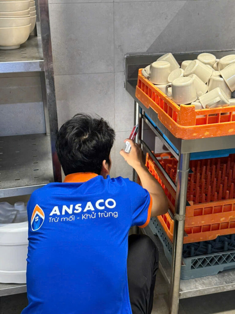 Dịch vụ diệt gián Ansaco Nha Trang