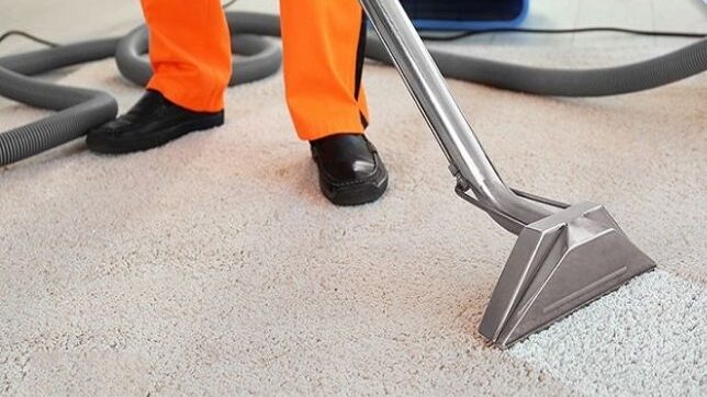 Hút bụi kỹ giúp loại bỏ mốc khô và bụi bẩn bám sâu trong sợi thảm