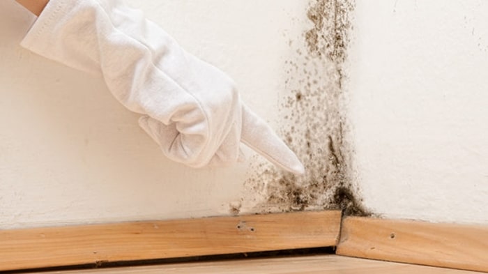 Cách tẩy vết bẩn trên tường nhà bằng nước rửa chén