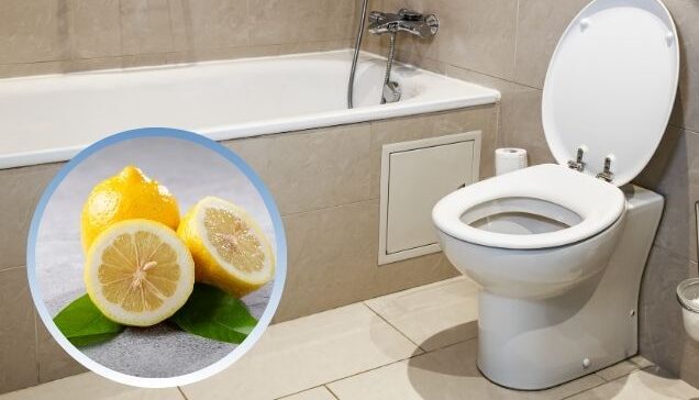 Khử mùi toilet bằng chanh tươi
